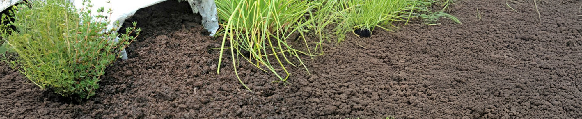 Compost & Soil