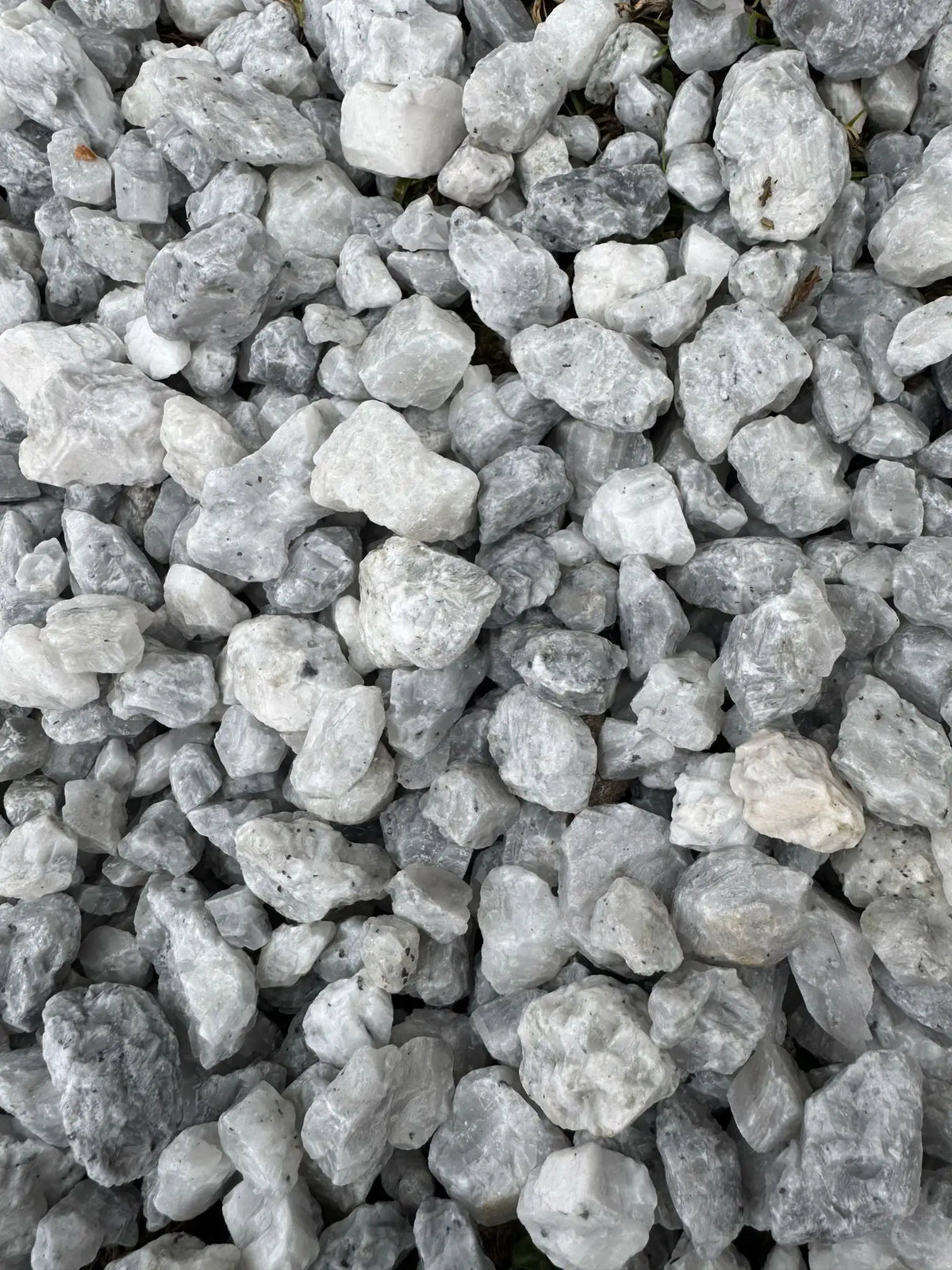 Close-up of pale decorative aggregate stones